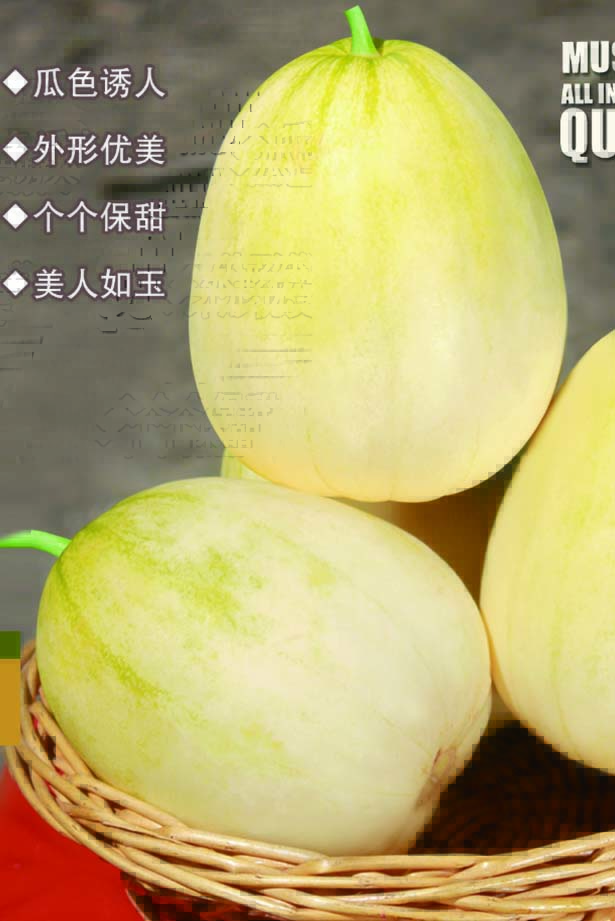 万金美玉