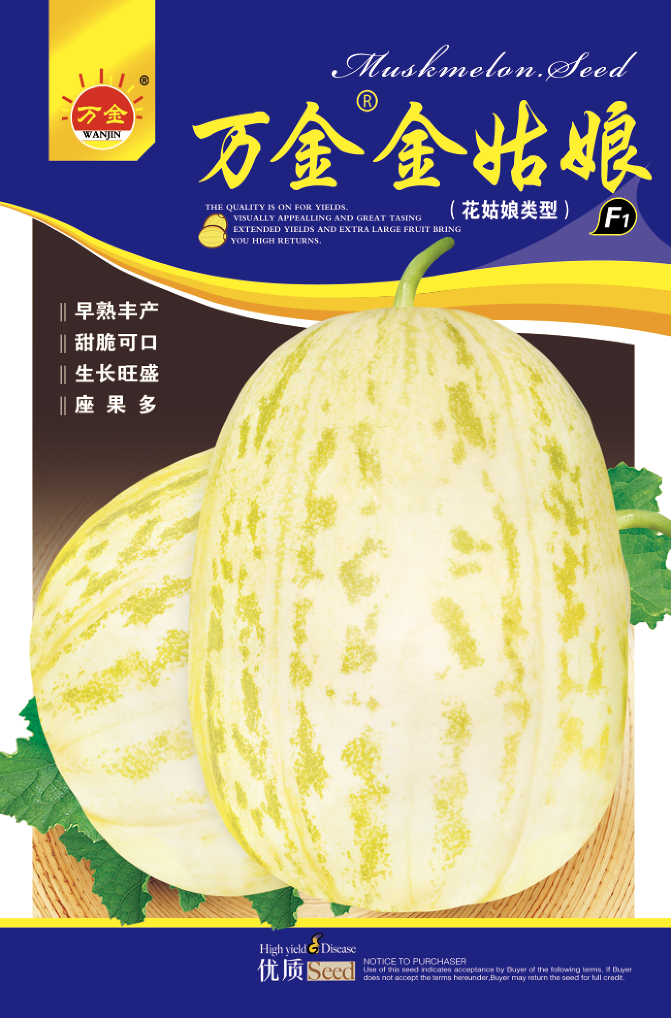 万金金姑娘