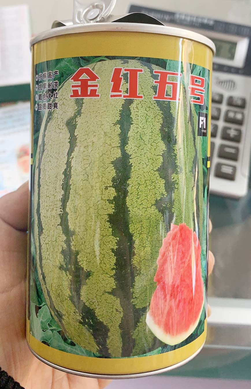 金红五号