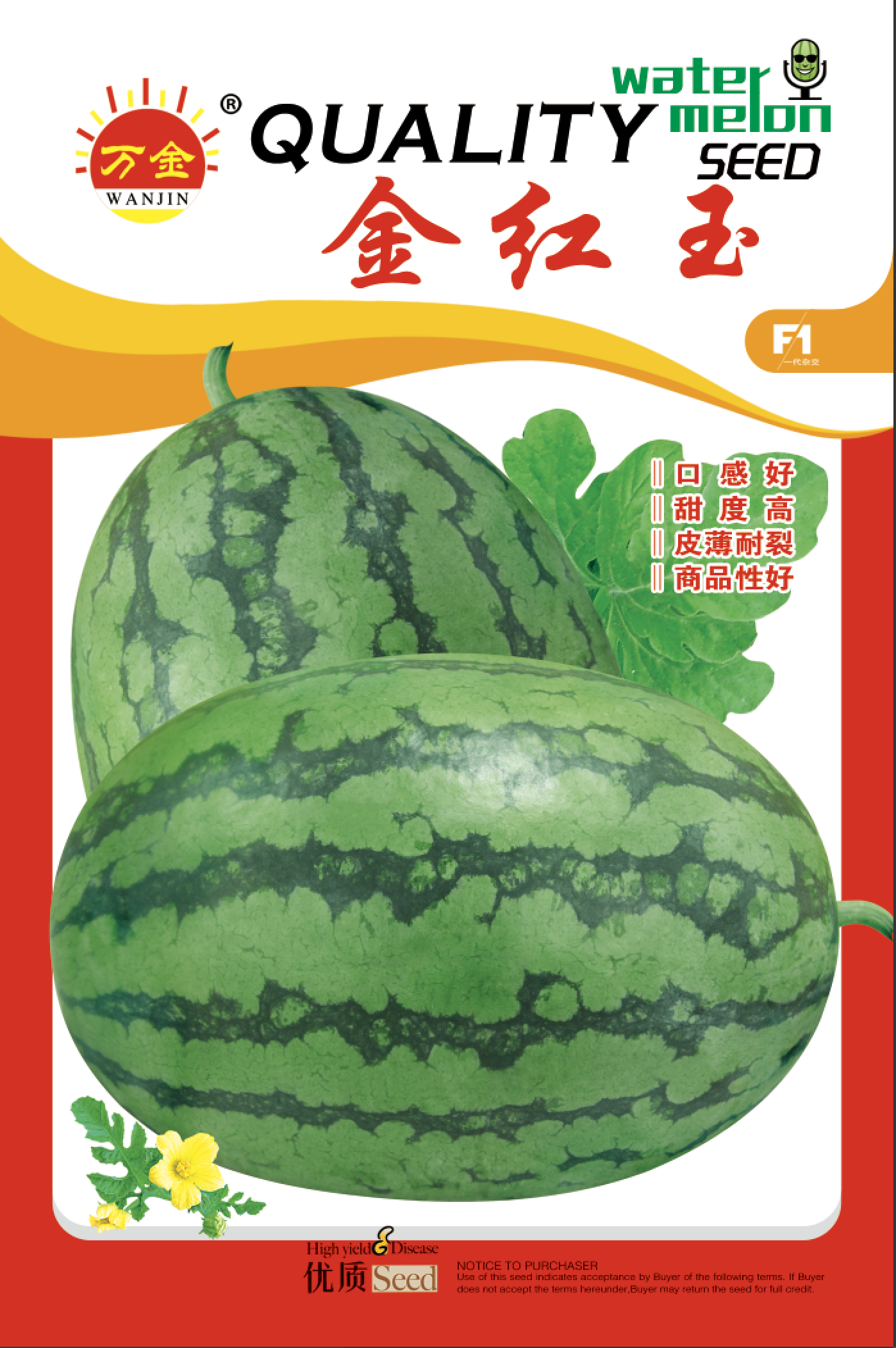 金红玉