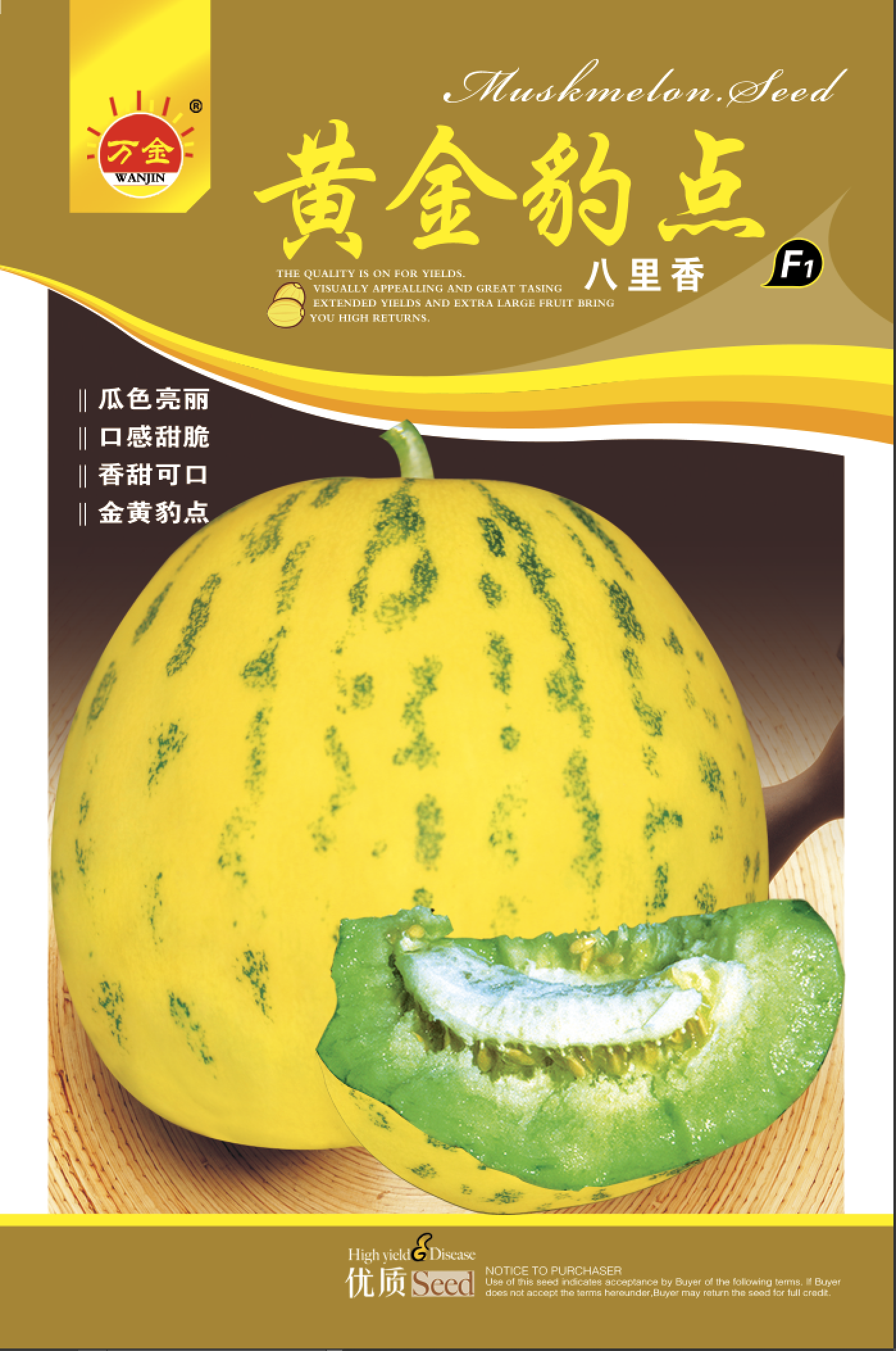 黄金豹点